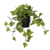 Décors Véronneau Artificial ivy in black ceramic pot< Small Tabletop Plants | Under $50